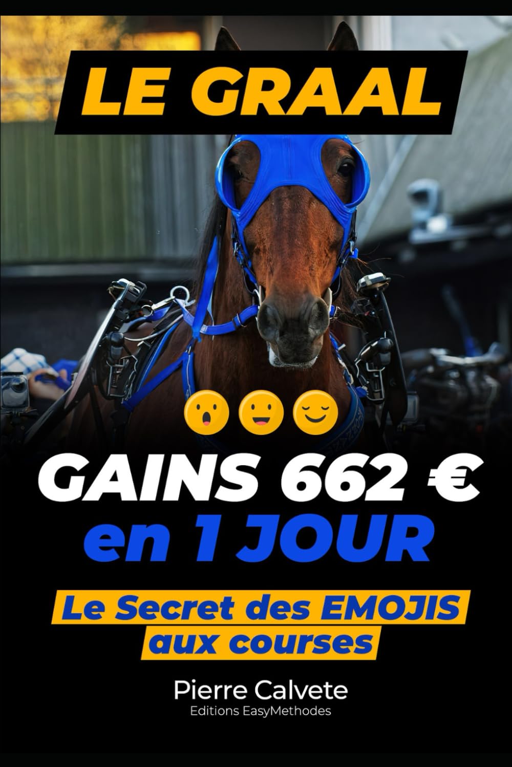 LE GRAAL: 662€ / JOUR