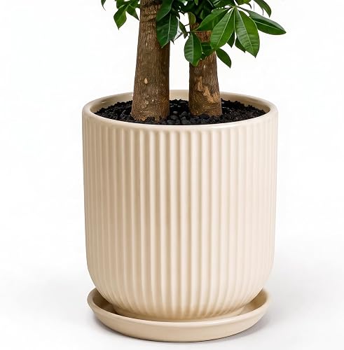 Deep Dream 12 Inch Ceramic Pots for Plants, Heavy Plant Pot for Indoor Outdoor Plants, Large Plant Pot with Drainage Hole and Saucer, Modern Tall Flower Pot, Gifts for Plant Lovers, Cream