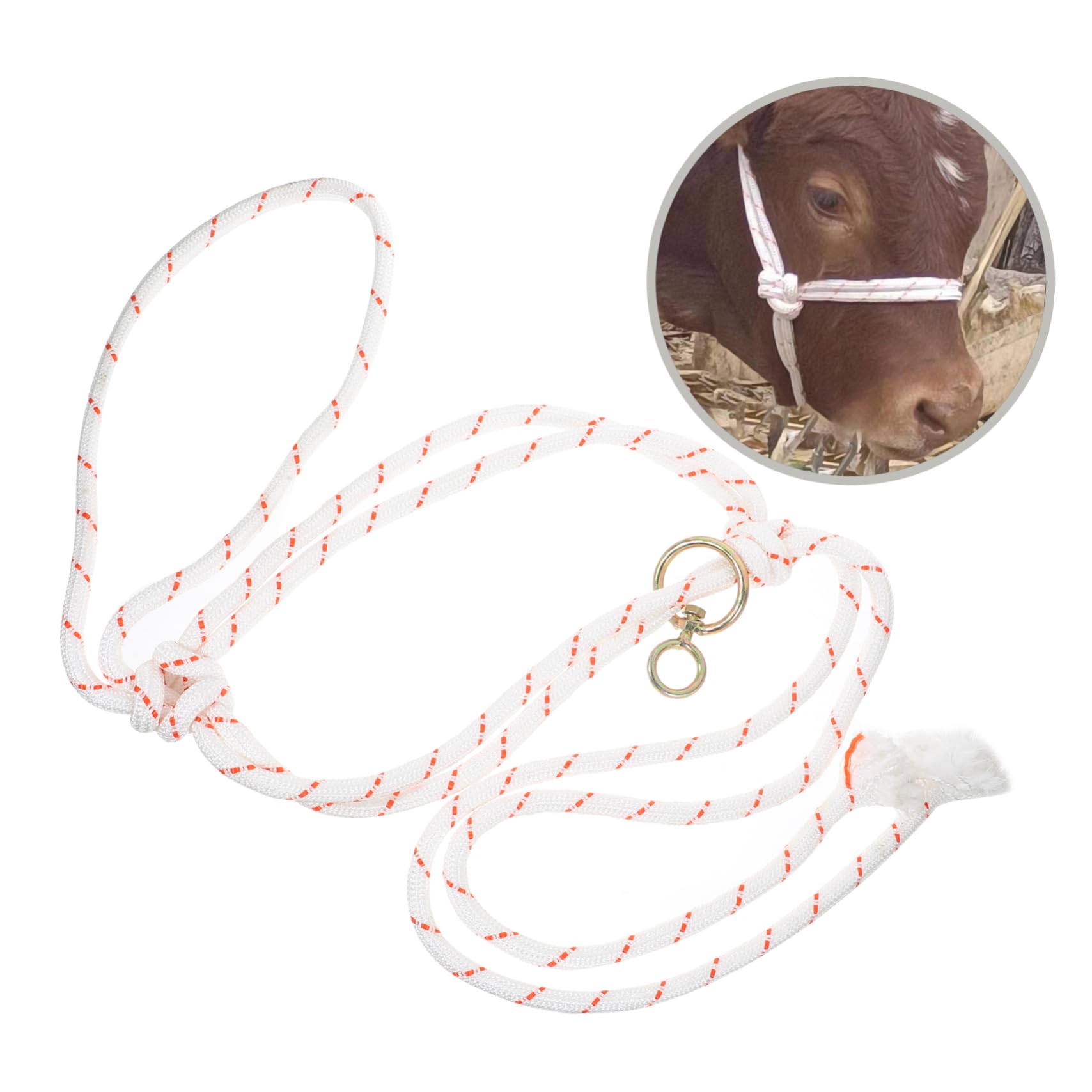UPKOCH 4 Pezzi Cavezza per Mucche Resistente e Sicura Accessorio per Allevamento Facile da Usare e per Proprietari Bestiame e Amanti Animali