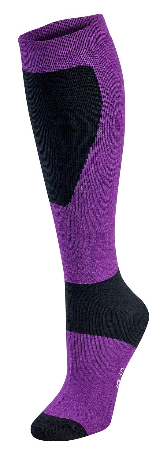 BAMBOO SPORTS B Warm Odor Eliminating Moisture Wicking Bamboo Rayon Ski Snowboard Socks, Purple/Black, Large