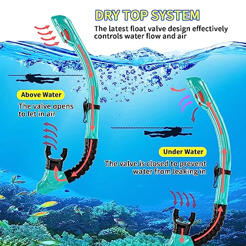 Equipo de snorkel para miopes iGym para adultos, máscara de buceo profesional con snorkel de silicona, antiniebla y montura para cámara desmontable miniatura 5