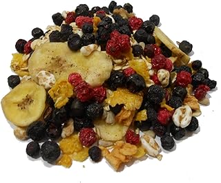 BIO BLAUBEER MÜSLI I 7% gefriergetrocknete Blaubeeren I Wildheidelbeeren I ohne Zuckerzusatz (enthält von Natur aus Zucker) I Vegan I Walnüsse I 600g