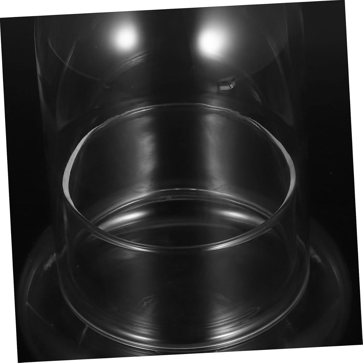 2pcs Micro Landscape Ecological Bottle High Borosilicate Glass Terrarium Holder for Home Office Desk Decor DIY Plant Cloche Indoor Display