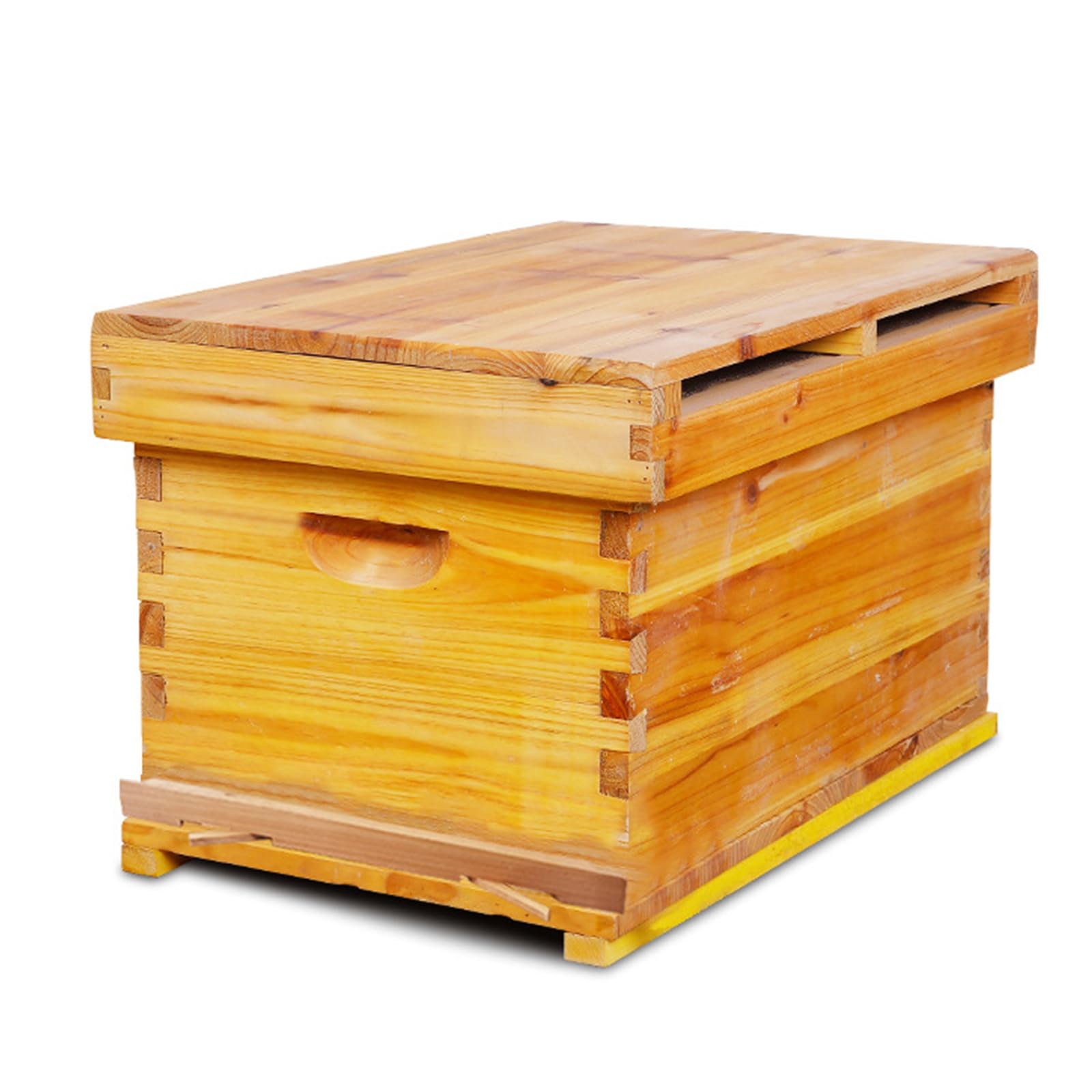 BEEHIVE（蜂の巣） カイフランク BEEHIVE（蜂の巣） カイフランク カイ
