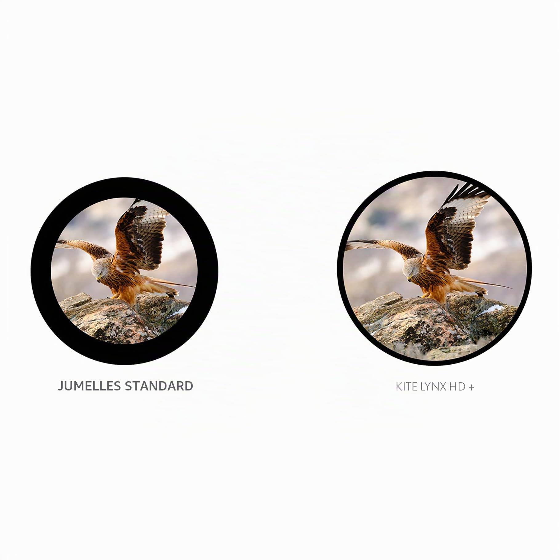 Kite Optics - Jumelles Kite Lynx HD+ 8X30