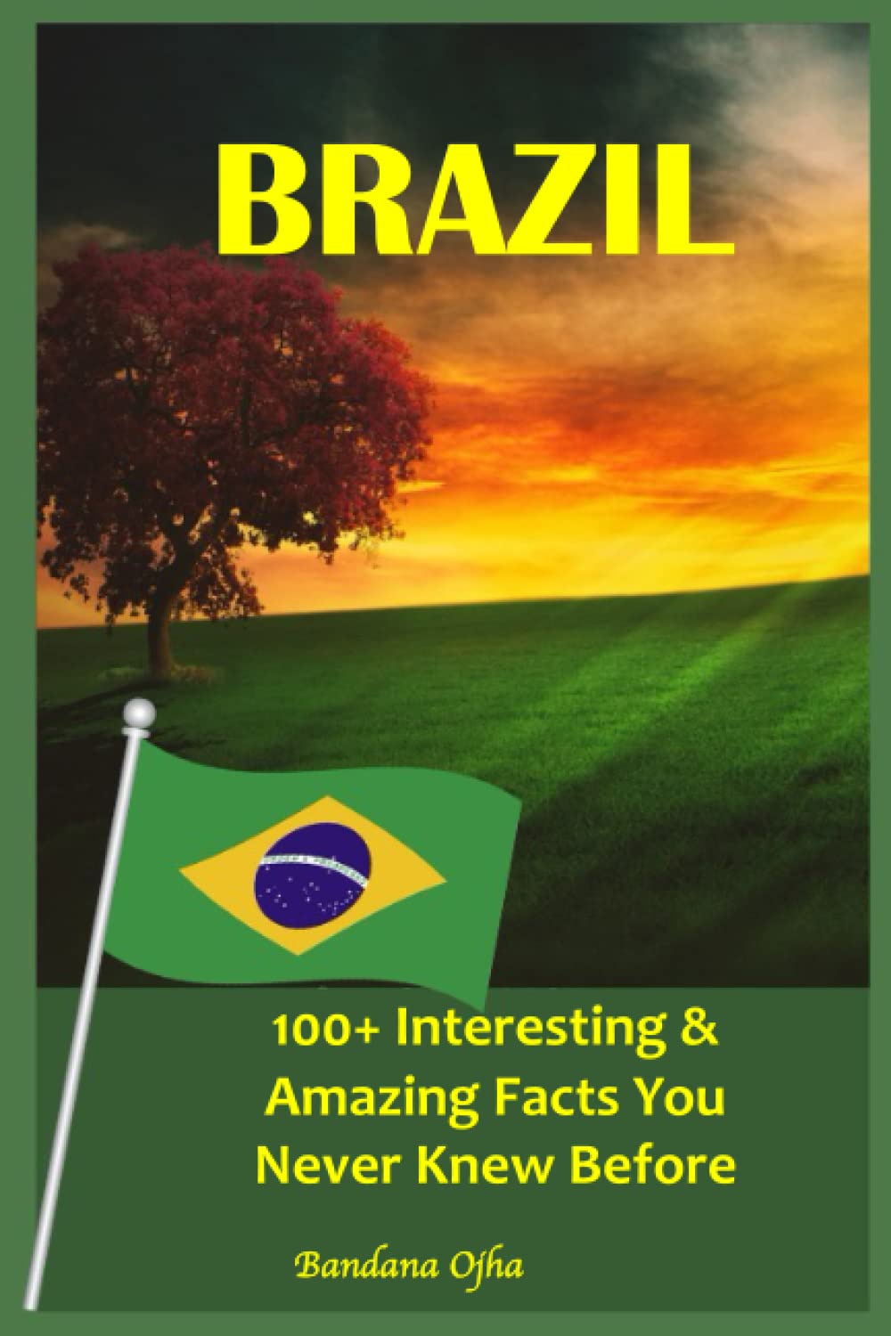 BRAZIL: 100+ Interesting & Amazing Facts You Never Knew Before