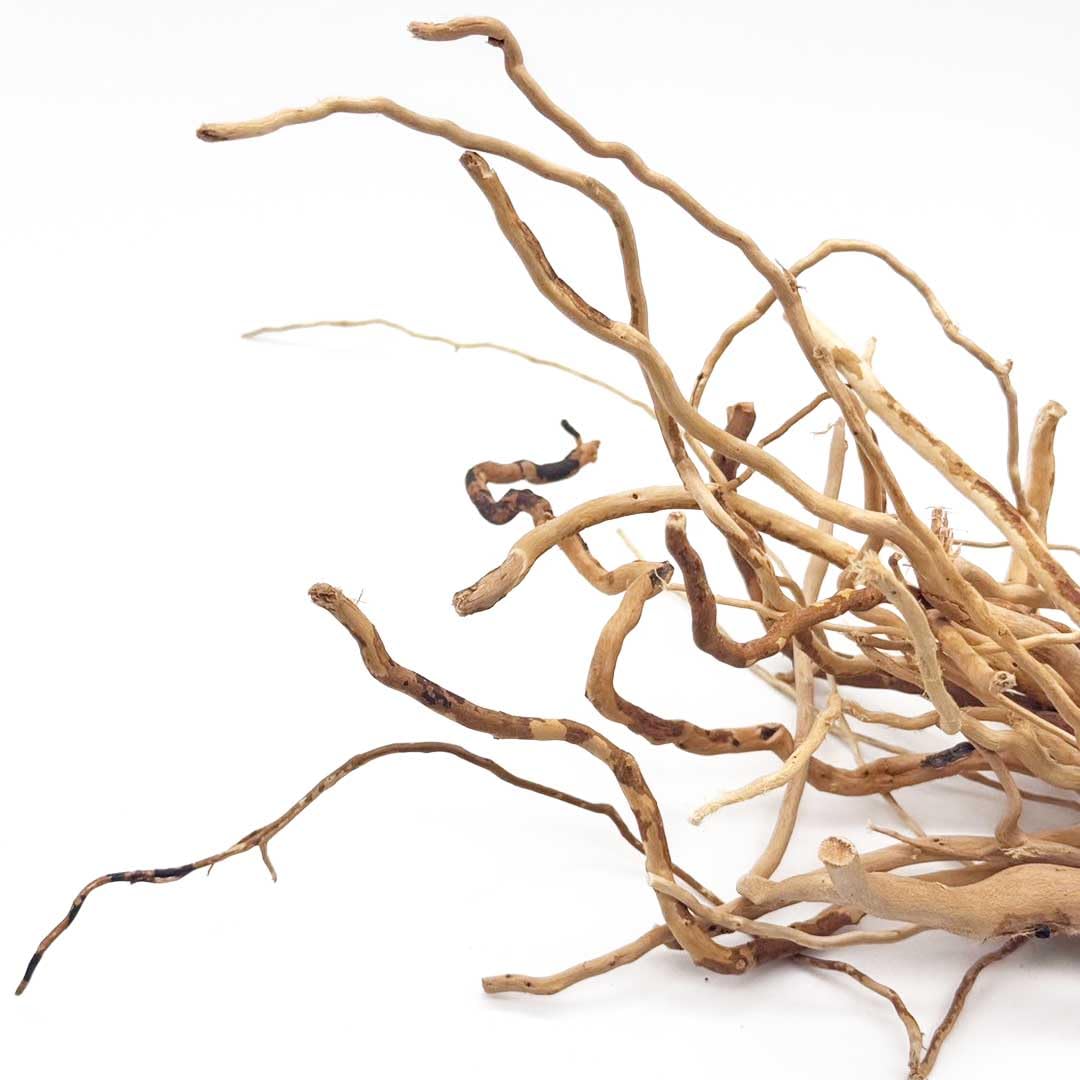 Amazon.co.jp: [AiO JAPAN] アクアリウム 流木 ーVer4ー 自然の流