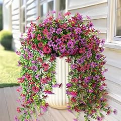 Purple Red Light Purple