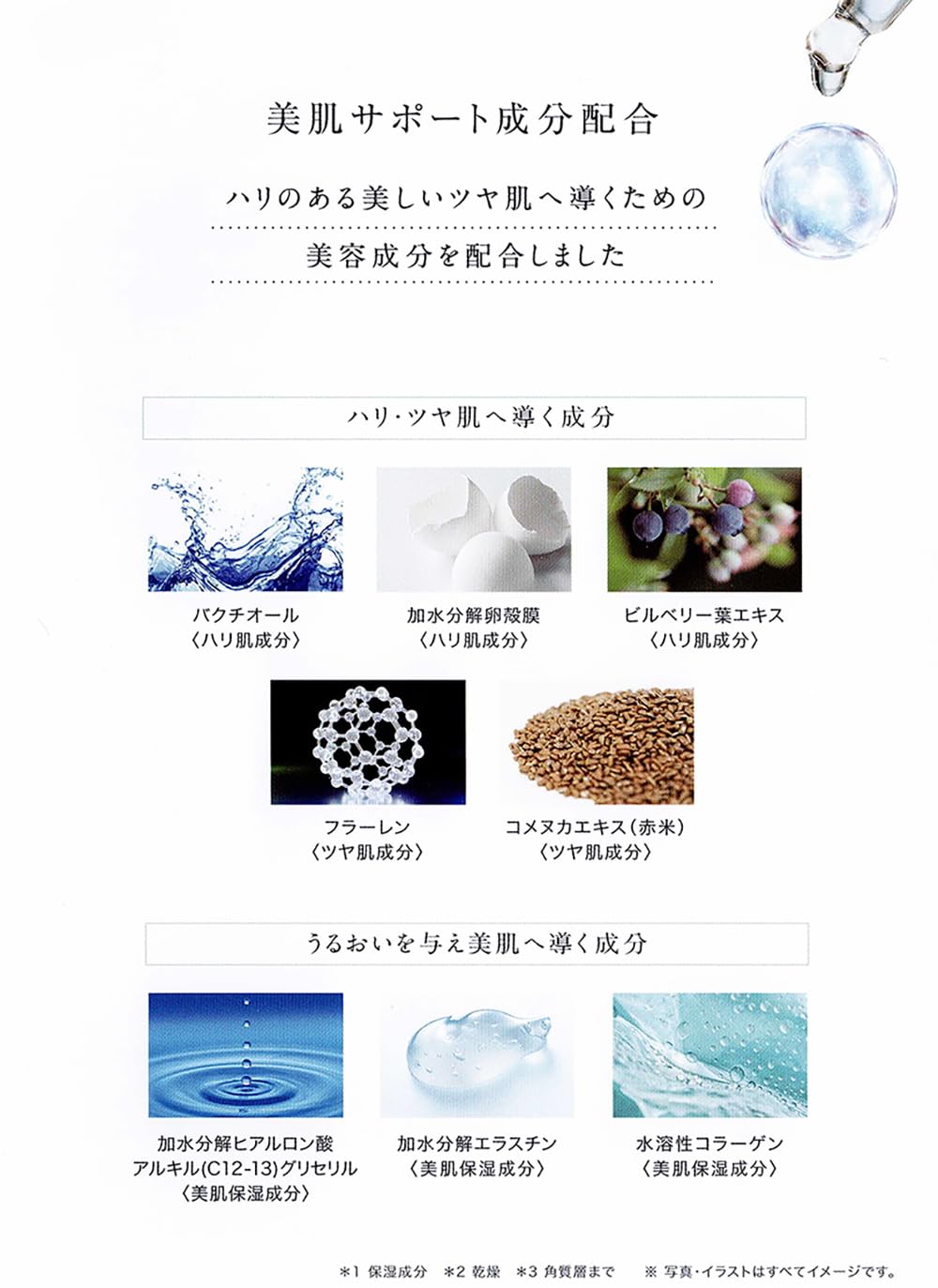 Amazon | エステツイン☆インダーム プレステージ インダーム