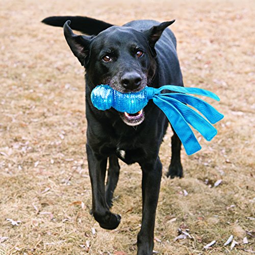 Kong Wubba Comet für kleine Hunde - Farbe nach Zufallsprinzip ausgewählt