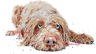 Wirehaired Vizsla passed Out - Print Watercolour, Wirehaired Vizsla wall hanging,Wirehaired Vizsla art print,Wirehaired Vizsla home decor