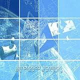  VIII - Post Traumatic Visions and Phantom Limbs
