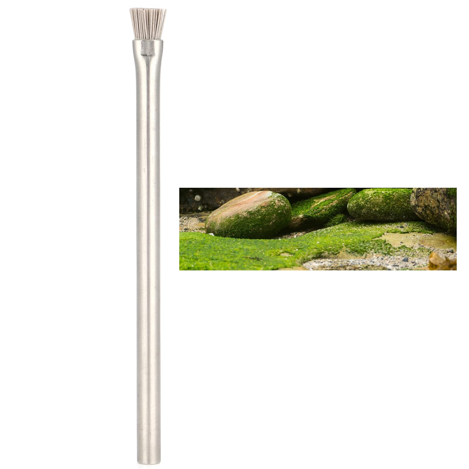 Gavigain Stainless Steel Brush, Rusts, Ergonomic Handle, Lightweight, for Aquarium, Pool, and Fish Container Cleaning