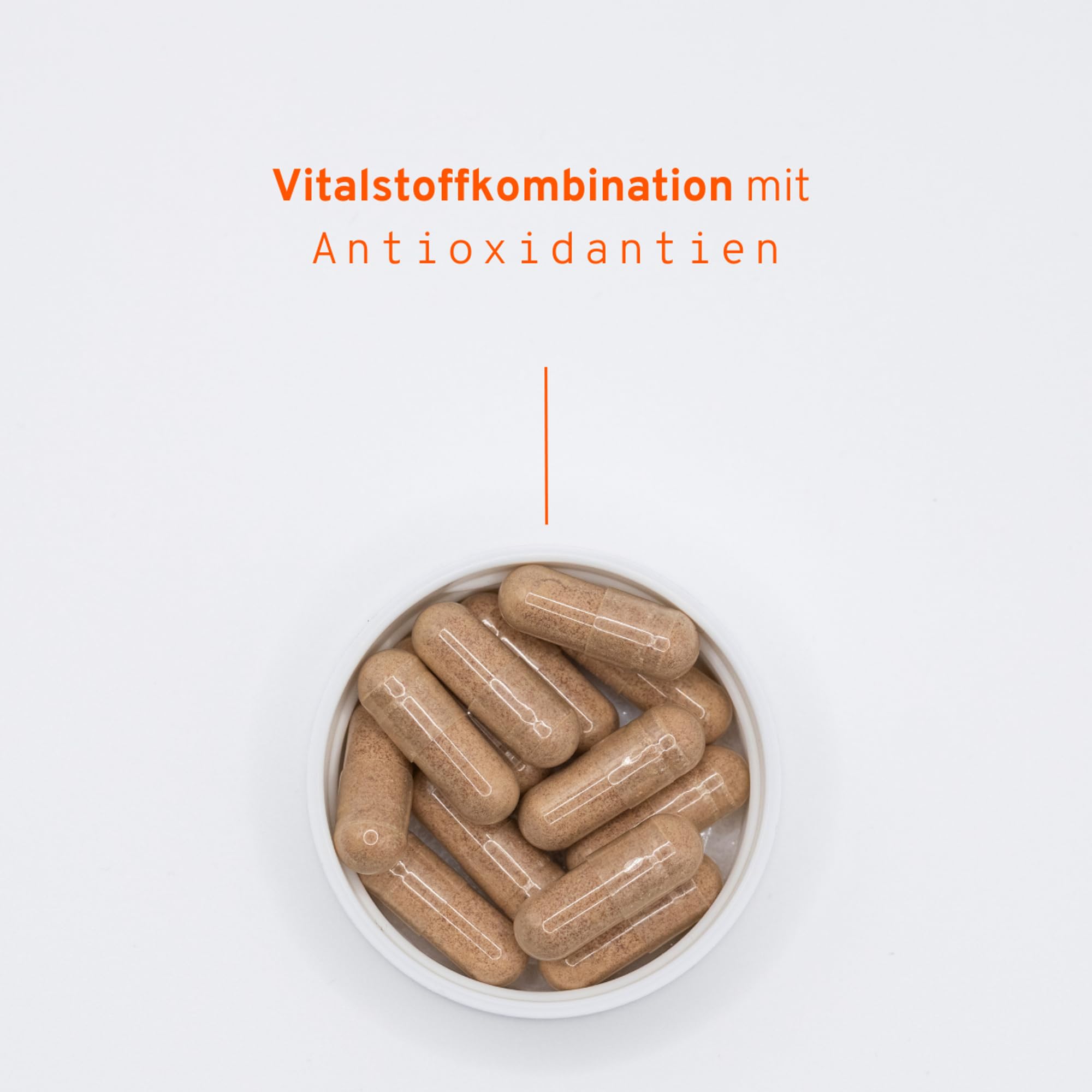 oxano® zellschutz Kapseln – Müller-Wohlfahrt | Mikronährstoffe mit Vitamin A, C, E & Zink | Mit Coenzym Q10 & OPC-Traubenkernextrakt | Nahrungsergänzungsmittel