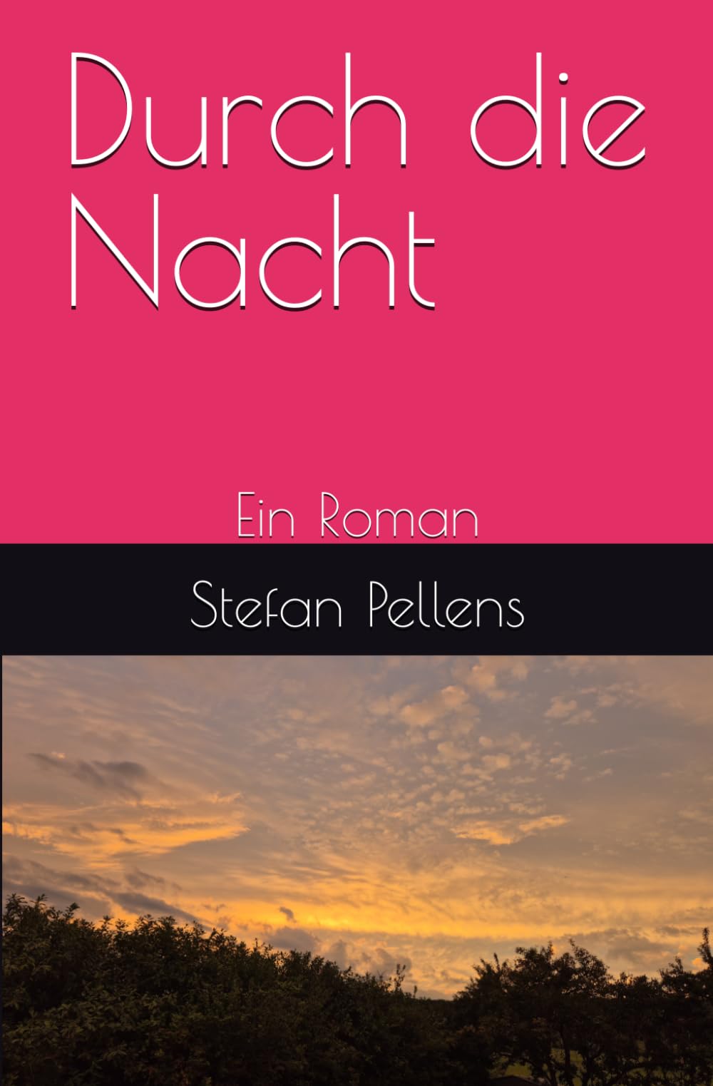 Durch die Nacht: Ein Roman
