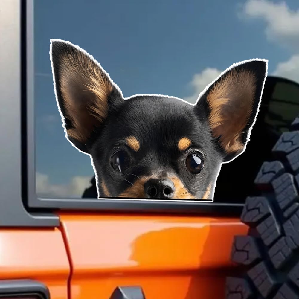 2-Pack Peeking Chihuahua Car Decal Sticker, 5.51"x3.54", Realistic Black Red Chihuahua Head Dog Vinyl Decal, Suitable for Car Windows, Bumper, Side Mirrors, Laptops, Glass, Walls #2BZ552