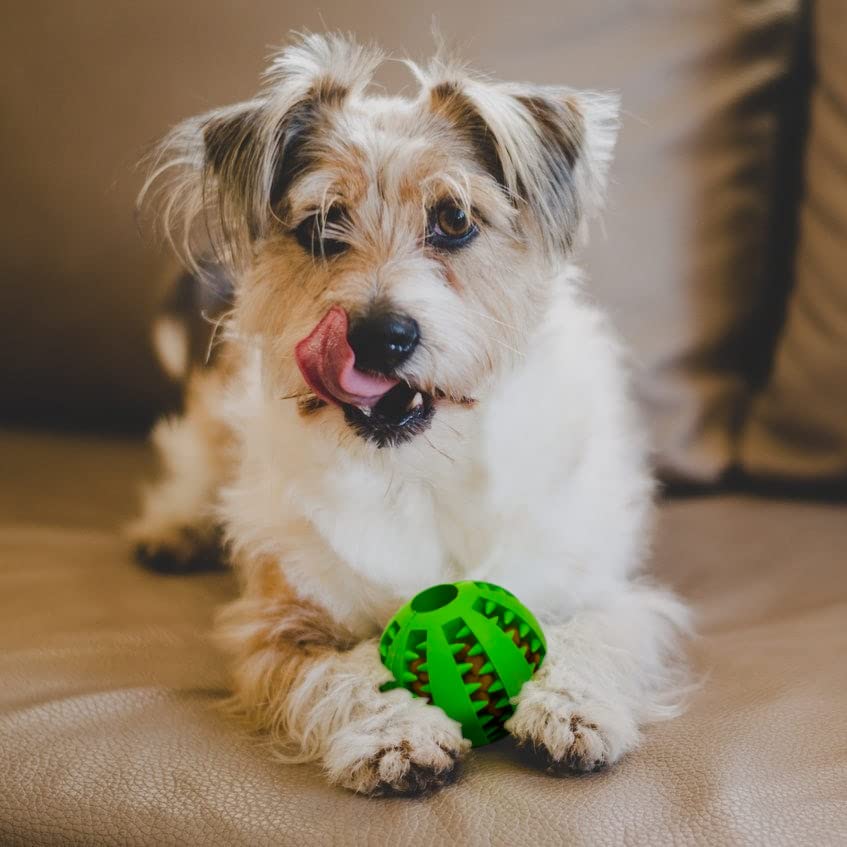 PetBox Feeder Dog Toy with Slots for Treats, Durable Rubber Ball 2.75in