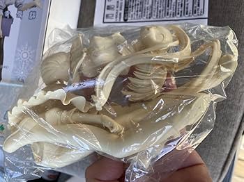 1/10　堕天使　未塗装未組立　フィギュア　ガレージキット　ガレキ Amazon.co.jp: 天使のいない12月 須磨寺雪緒 未塗装組立