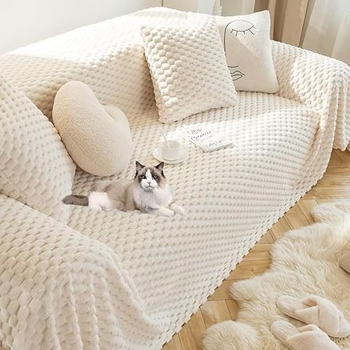 \t@[Jo[ }`Jo[ k  H~p g \t@Jo[ ` L΍ 邾 uPbg 1 2l| ӂӂ  JE` xbhJo[ J[ybg e[uNX o[Vu h~ 唻 􂦂  h 