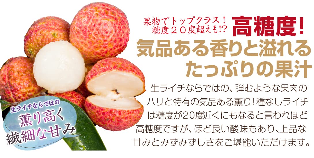 種無しライチ4kgクール便 種無しライチ4kgクール便 種無しライチ4kgクール便