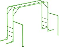 LeisureStar Outdoor Monkey Bars for Kids 3+ - Green Metal Playground Set with Climbing Frame, ASTM Certified, 110 lbs Capacity