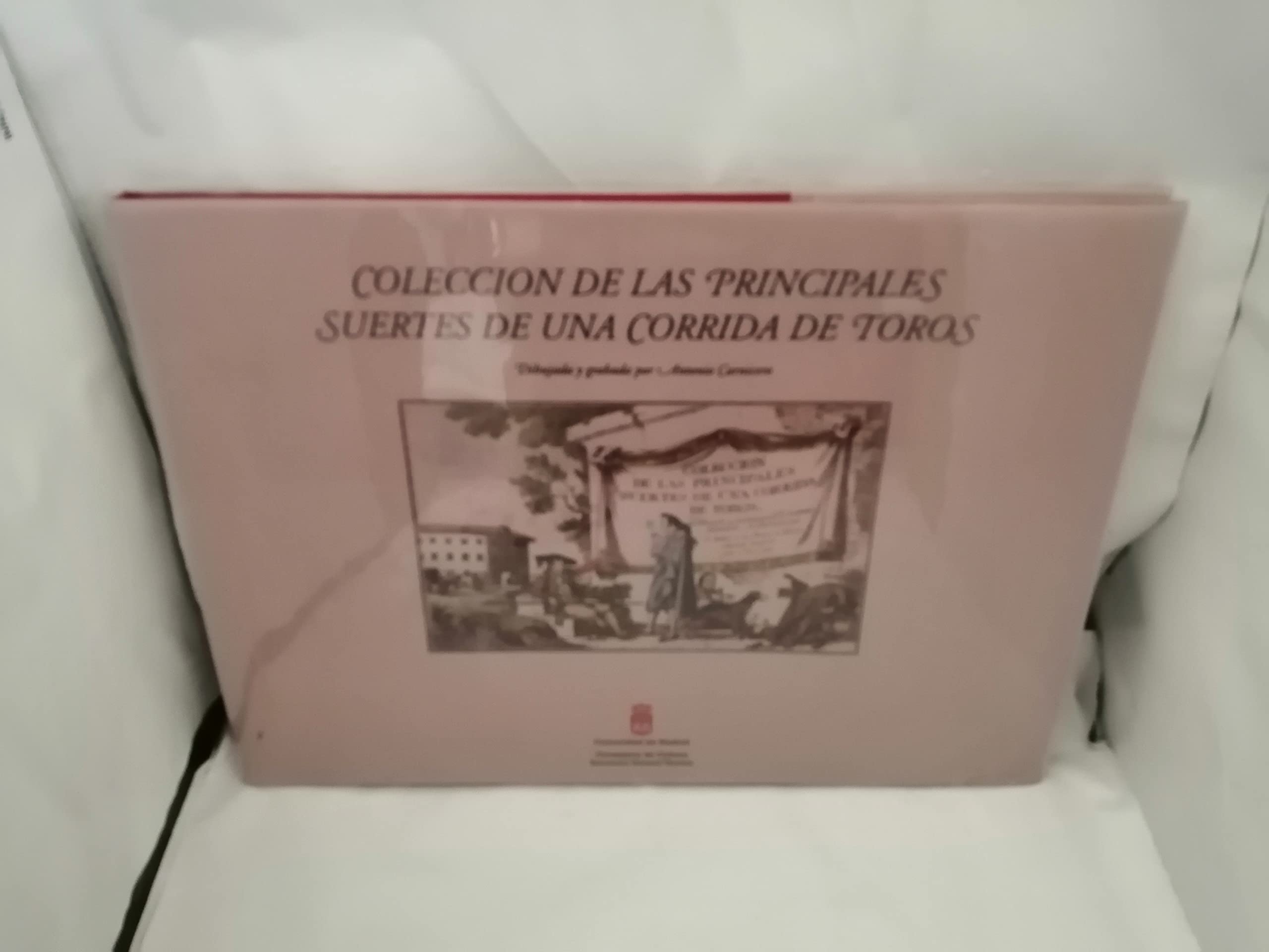 Colección de las principales suertes de una corrida de toros
