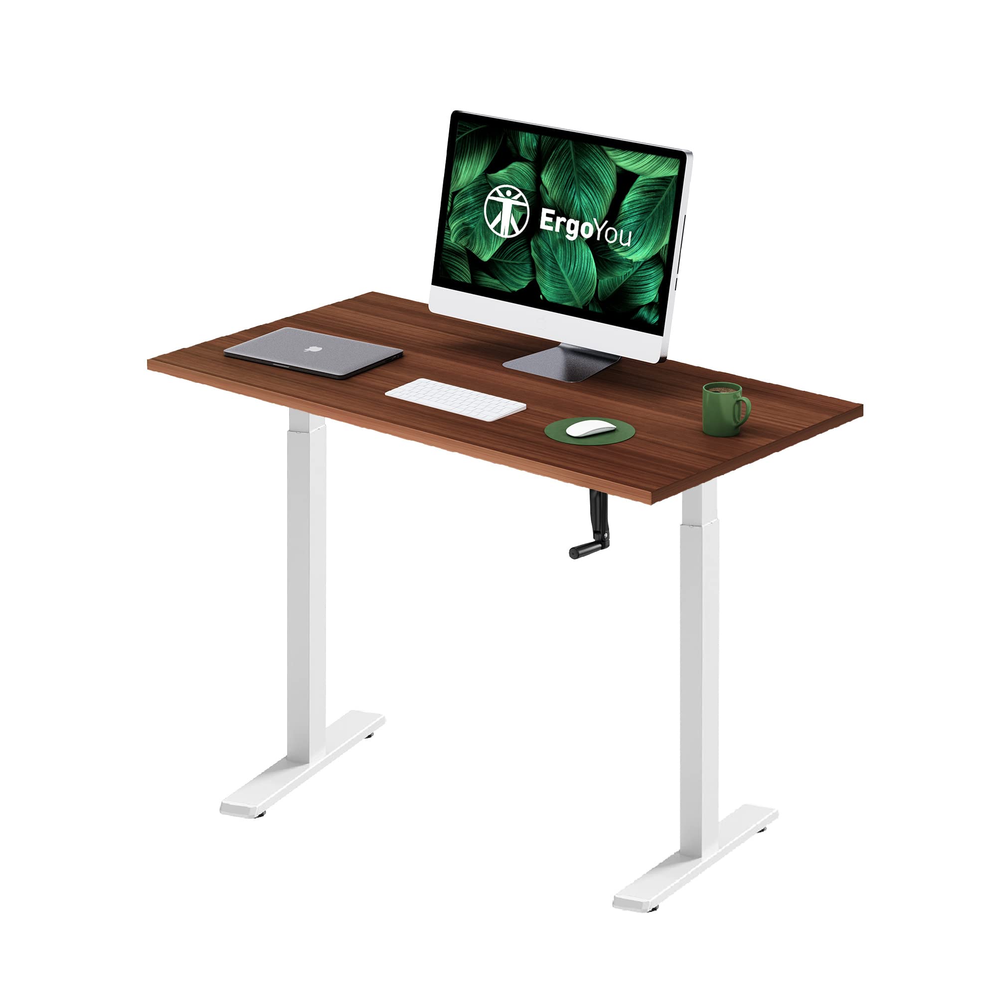 ErgoYou - Manual Height Adjustable Table - 2 Stage with Smooth Hand Crank - Ergonomic Standing Computer Desk - 80 Kg Max Weight Capacity - M8 Series - 47 x 23.5 inches Walnut Table Top - White Frame
