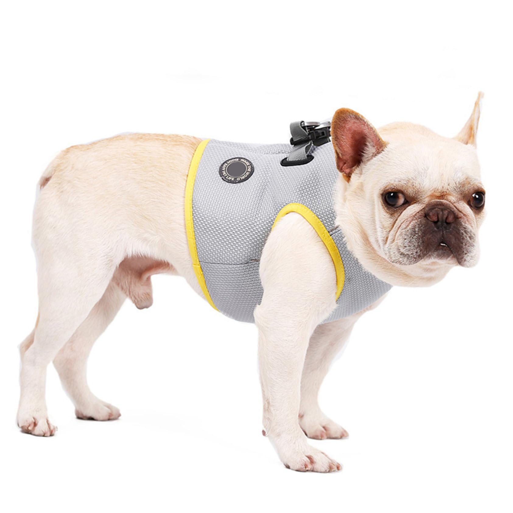 Gilet Rafraîchissant pour Chien et Chiot, Modèle L, Maille Coton