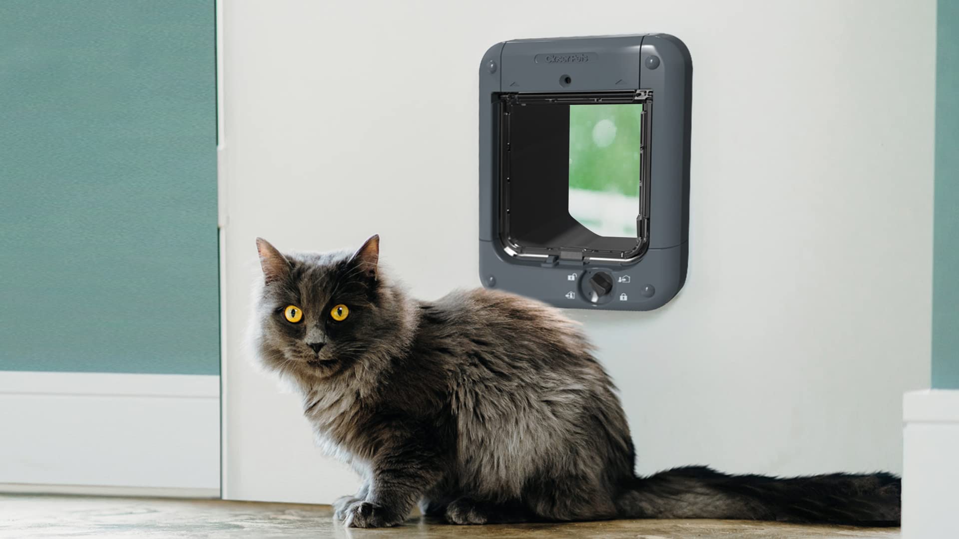 Cat Mate Mikrochip-gesteuerte Katzenklappe 360 für Katzen und kleine Hunde bis 30 Haustiere Einfach-/Mehrfachverglasung UPVC Wände Holz grau