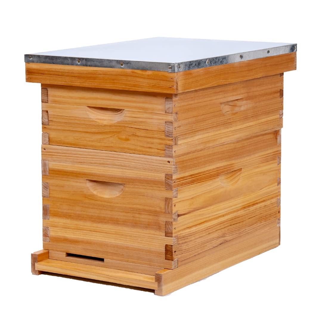 Buy Honey Lake 8Frame Bee Hive 1 Brood Beehive Box and 1 Medium Bee