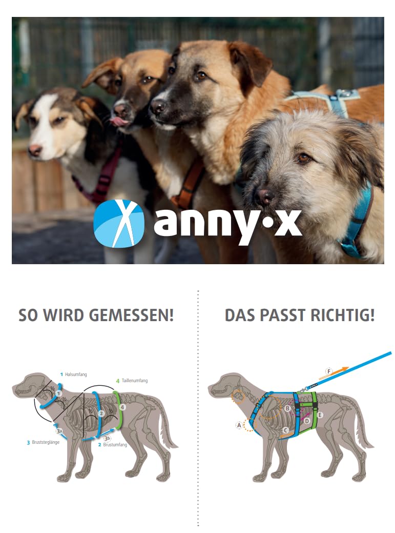 Anny-X Brustgeschirr Fun Braun-Bernstein | Hundegeschirr Größe S (Brustumfang 52-64 cm)