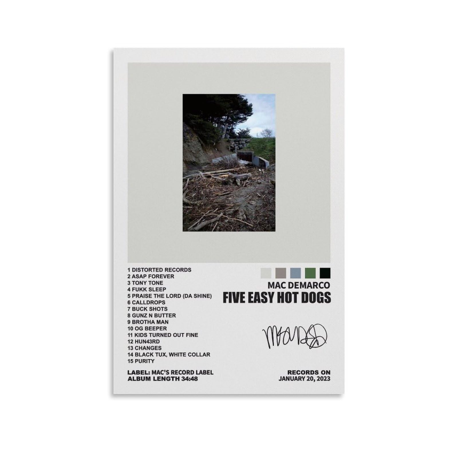 SHUKI Mac DeMarco Poster Five Easy Hot Dogs Album Cover Posters for Room Aesthetic Canvas Wall Art Bedroom Decor 12x18inch(30x45cm)