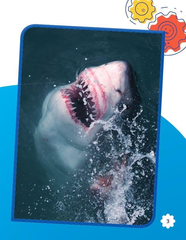 Learning about Sharks (Smithsonian: Informational Text) - Image 4