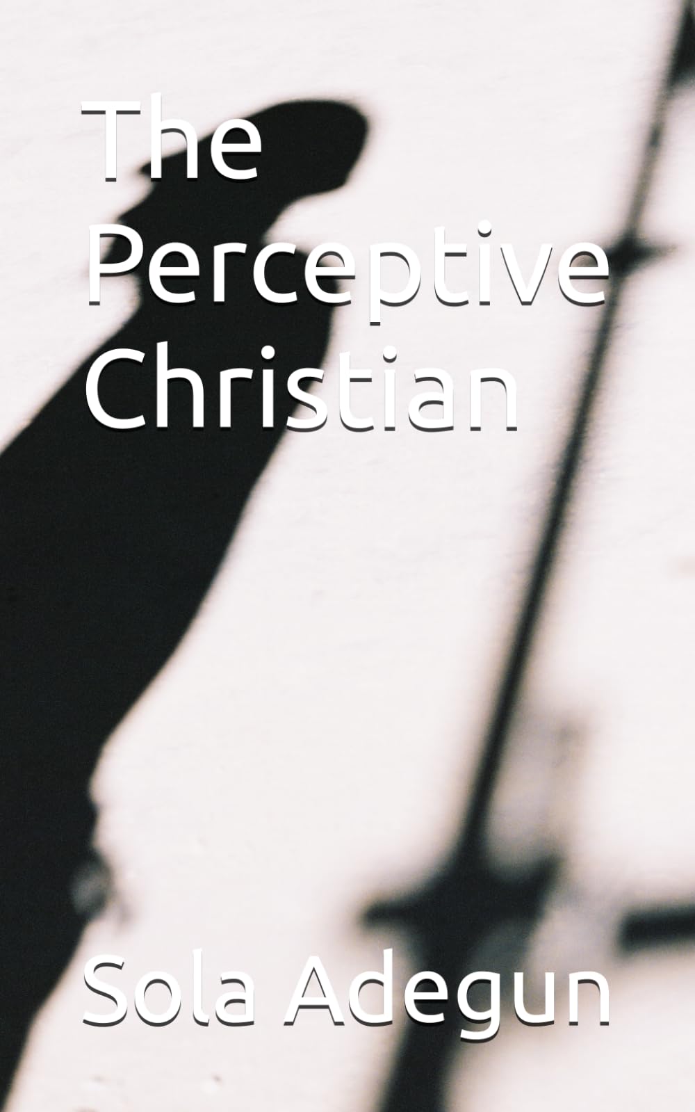 The Perceptive Christian: More Words, Questions and Thoughts for Reflection