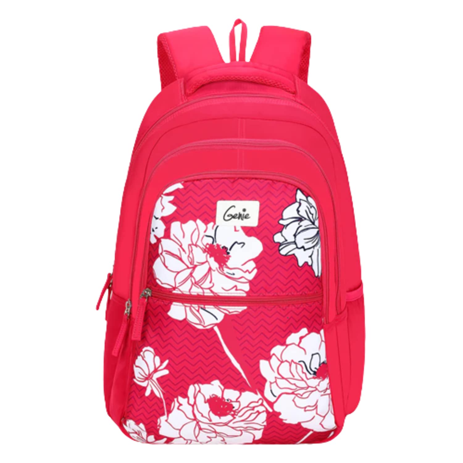 Genie Fern Pink in Color Laptop Backpack 19 inch with Rain Cover (B0BVVML3VF) Amazon Price History, Amazon Price Tracker