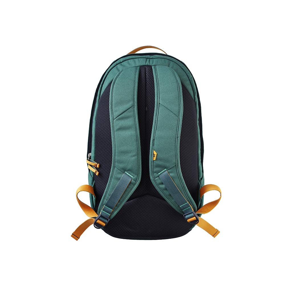Amazon.com: Chaco: Radlands