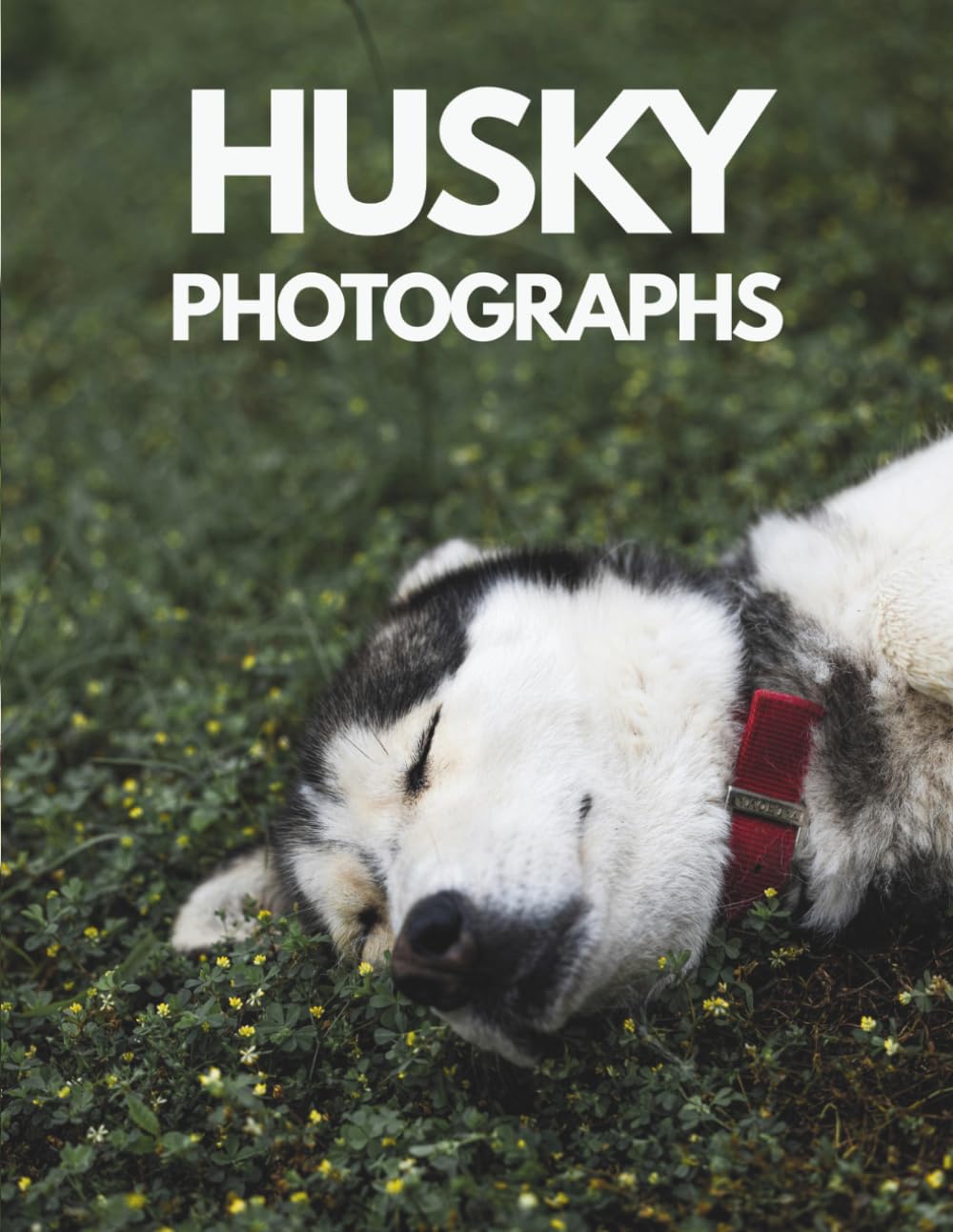 Husky Photographs Book: A Large Phormat Paperback With Portraits of Fluffy Puppies and Majestic Siberian Dogs - Beautiful Nature Poster Book in Snow, ... Cozy Homes – Perfect Gift for Husky Lovers
