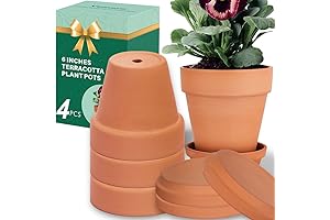 Vensavo 6 Inch Terracotta Pots for Plants with Saucers