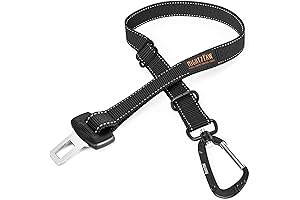 Pet Seatbelt: Ensuring Pet Safety During Car Rides