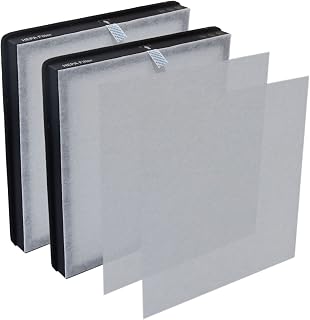 PUREBURG HY4866 Filtro de repuesto compatible con MORENTO & FETION, purificadores de aire WESTHEY HY4866, 1 paquete (2 filtros) H13 HEPA carbón activado 2 en 1