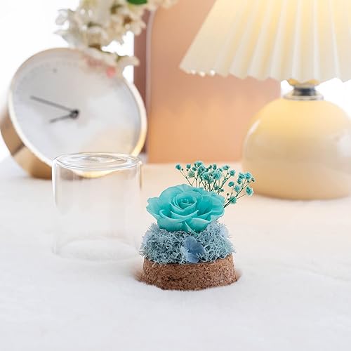 Miniatura 4 de Regalos de rosa real preservada para ella Forever Rose en cúpula de cristal regalos de rosa eterna para mujeres mamá en el día de San Valentín