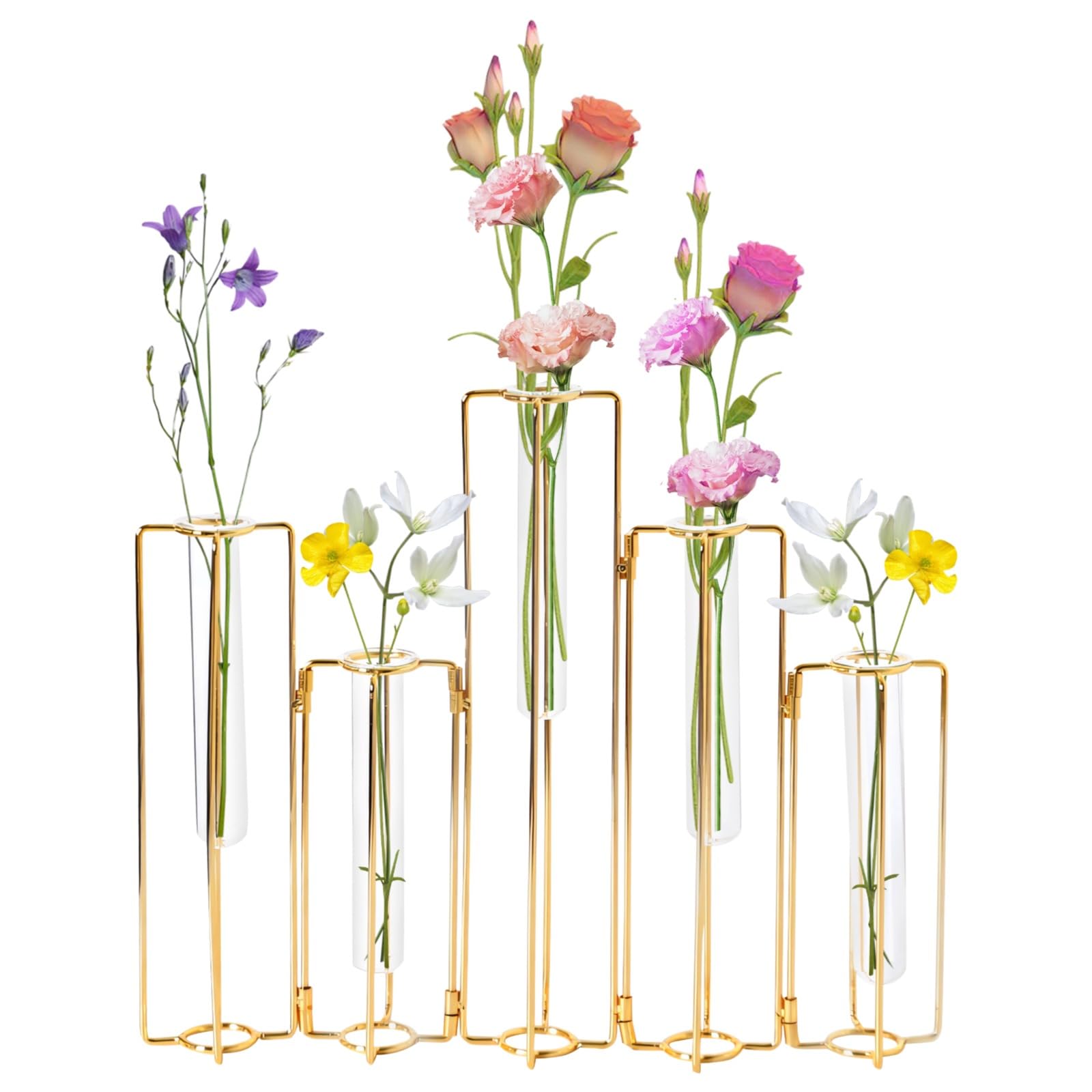 Vases de Propagation en métal doré pour Plantes, Support à 5 Tubes en Verre liés, Cadre Pliable, Petite déco de Maison