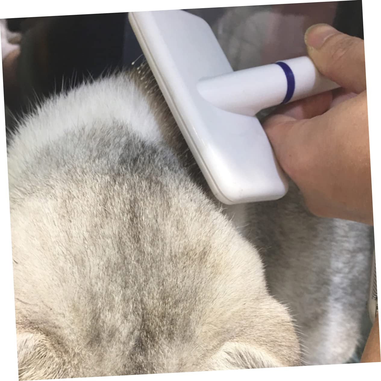 Toddmomy Peigne pour Animaux Brosse de Toilettage Portable Accessoires pour Chiens Qui Retirent les Nœuds Poils Morts