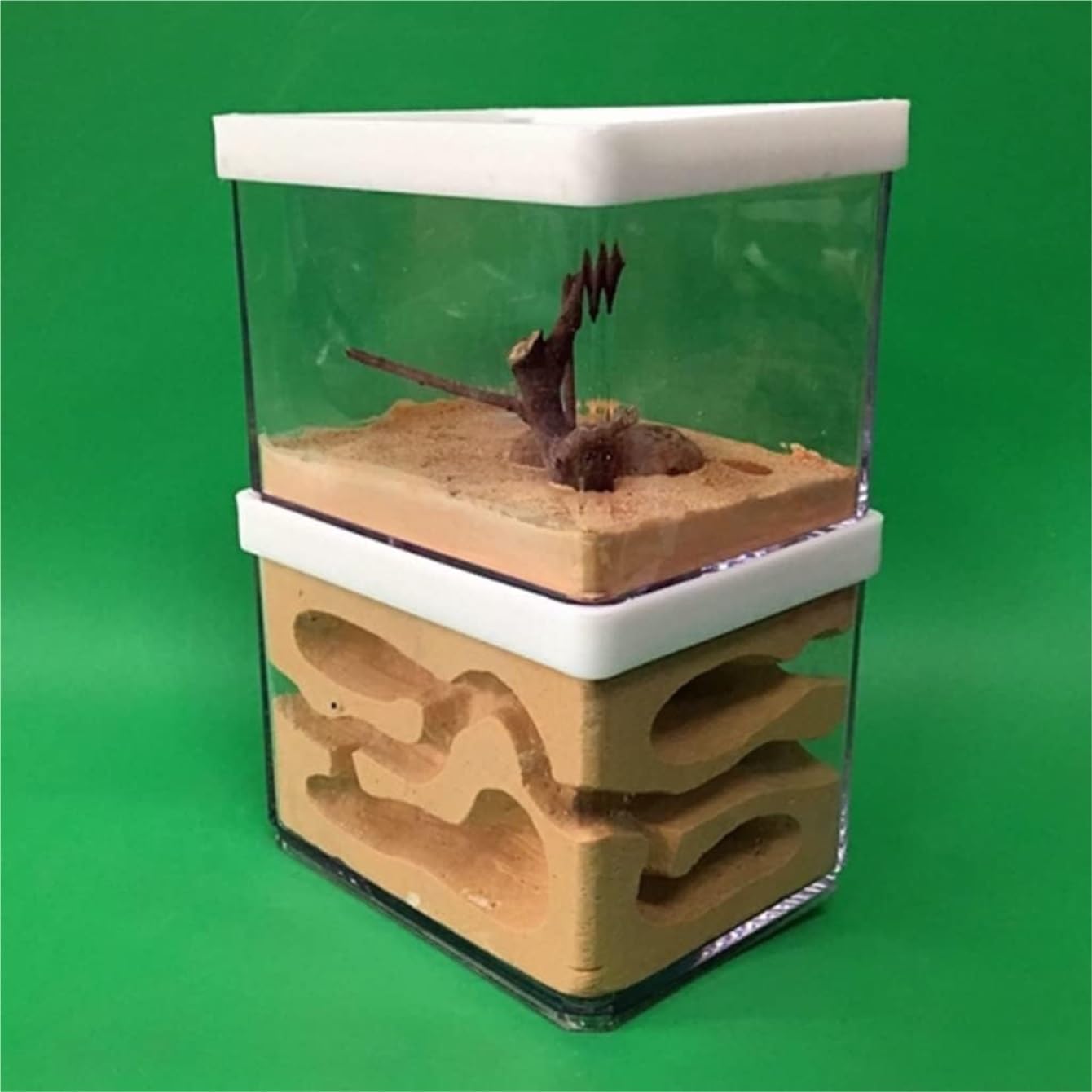 Gypsum Ant Castle