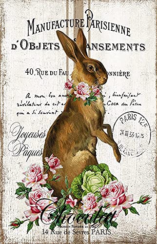 Standing Rabbit On French Writing Vintage Tin Sign Novelty Funny Home Family Friend Gift Bathroom Courtyard Bar Pub 8X12 Inch #TOP15