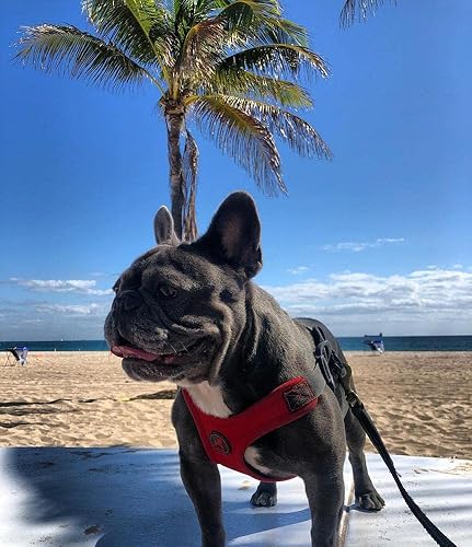 Miniatura 5 de Gooby Escape Free Arnés deportivo para perros que tiran y escapan, L, Rojo