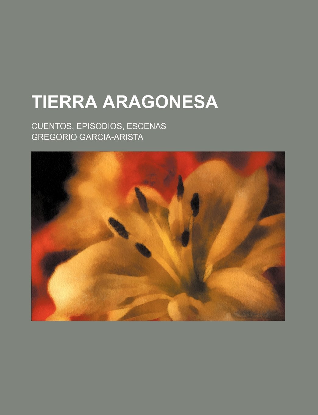 Tierra Aragonesa; Cuentos, Episodios, Escenas
