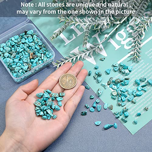SUNNYCLUE 1 Box 400Pcs Turquoise Chip Stone Beads Turquoise Chip Beads Stones Irregular Natural Gemstone with Holes for DIY Craft Earring Bracelets Making Supplies - Image 3