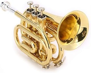 WYKDL Intermediate Trumpet Trumpet Portable B Flat Mini Corona Wind Instrument Beginners Playing Professional Grade Trumpet Instrument tone better