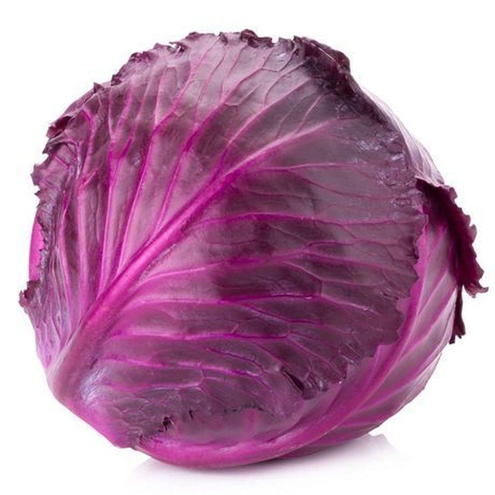 PLANTOGALLERY Vegetable Seeds | Red Cabbage Seeds hybrid | Vegetable Seeds For Home Gardening | Cabbage Seeds (B09B2MN35Y) Amazon Price History, Amazon Price Tracker